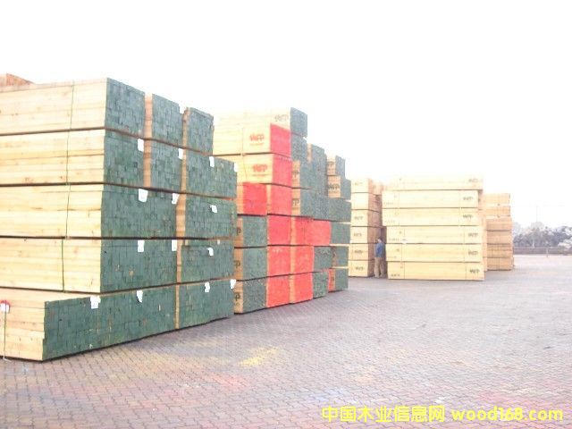 �M(j��n)��WFP��Ԕ��(x��)��B