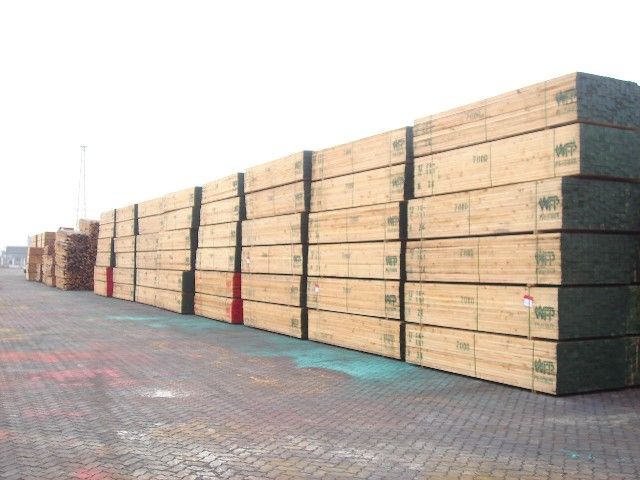 �M(j��n)��ľ�ģ����ľ�ģ�