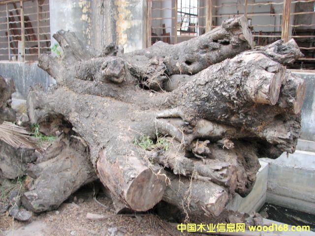 �u��ľ���Ϙ����Ԕ����B