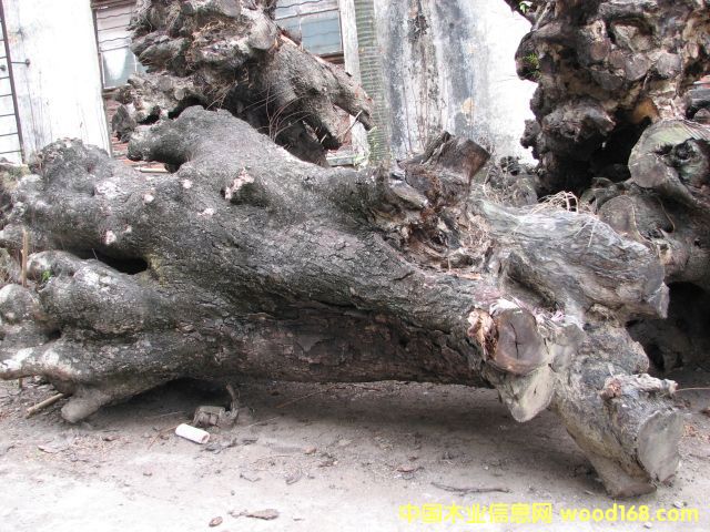 �u��ľ���Ϙ����Ԕ����B