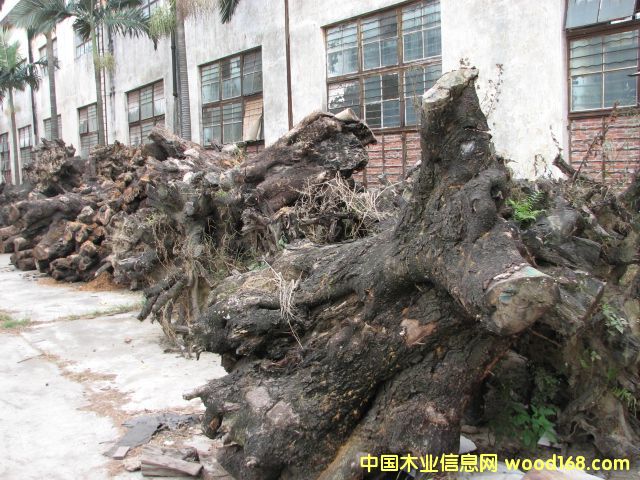 �u��ľ�����Ԕ����B