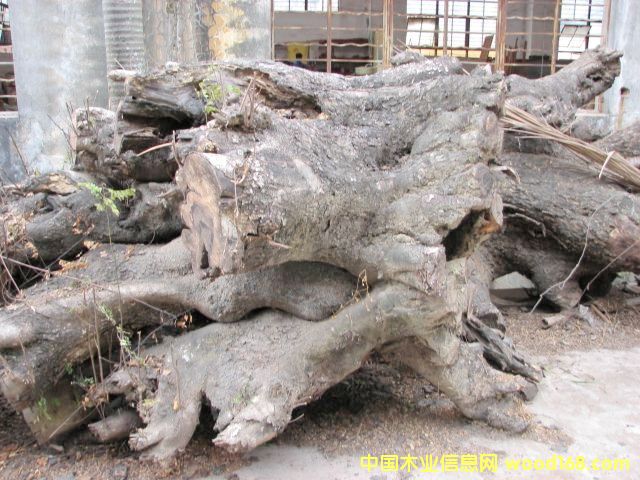 �u��ľ�ψ���Ԕ����B