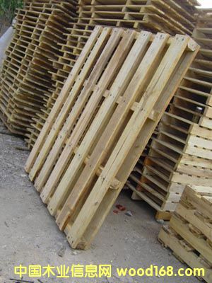 ���������Ԕ����B