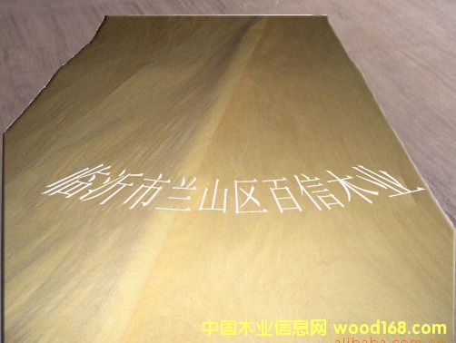 ɽ�𻨵�Ԕ��(x��)��B