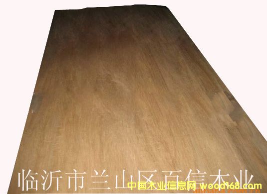 ����ľ��Ԕ��(x��)��B