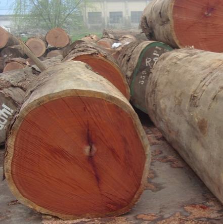 ԭľ-ֱ����Ԕ����B