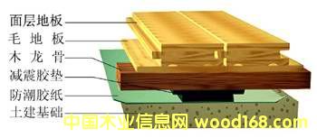 ��(sh��)ľ�w���ذ��Ԕ��(x��)��B