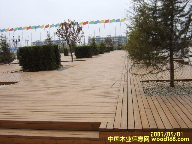 ���^����ľ��Ԕ��(x��)��B