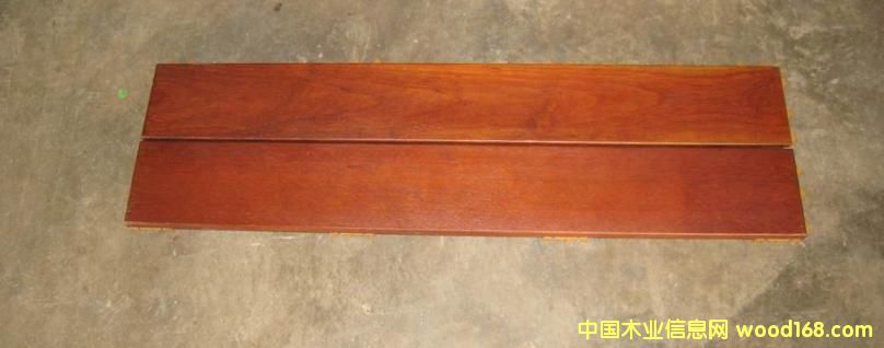 �𲻓Q������Ԕ��(x��)��B