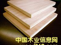 �W�����z�ϰ��Ԕ��(x��)��B