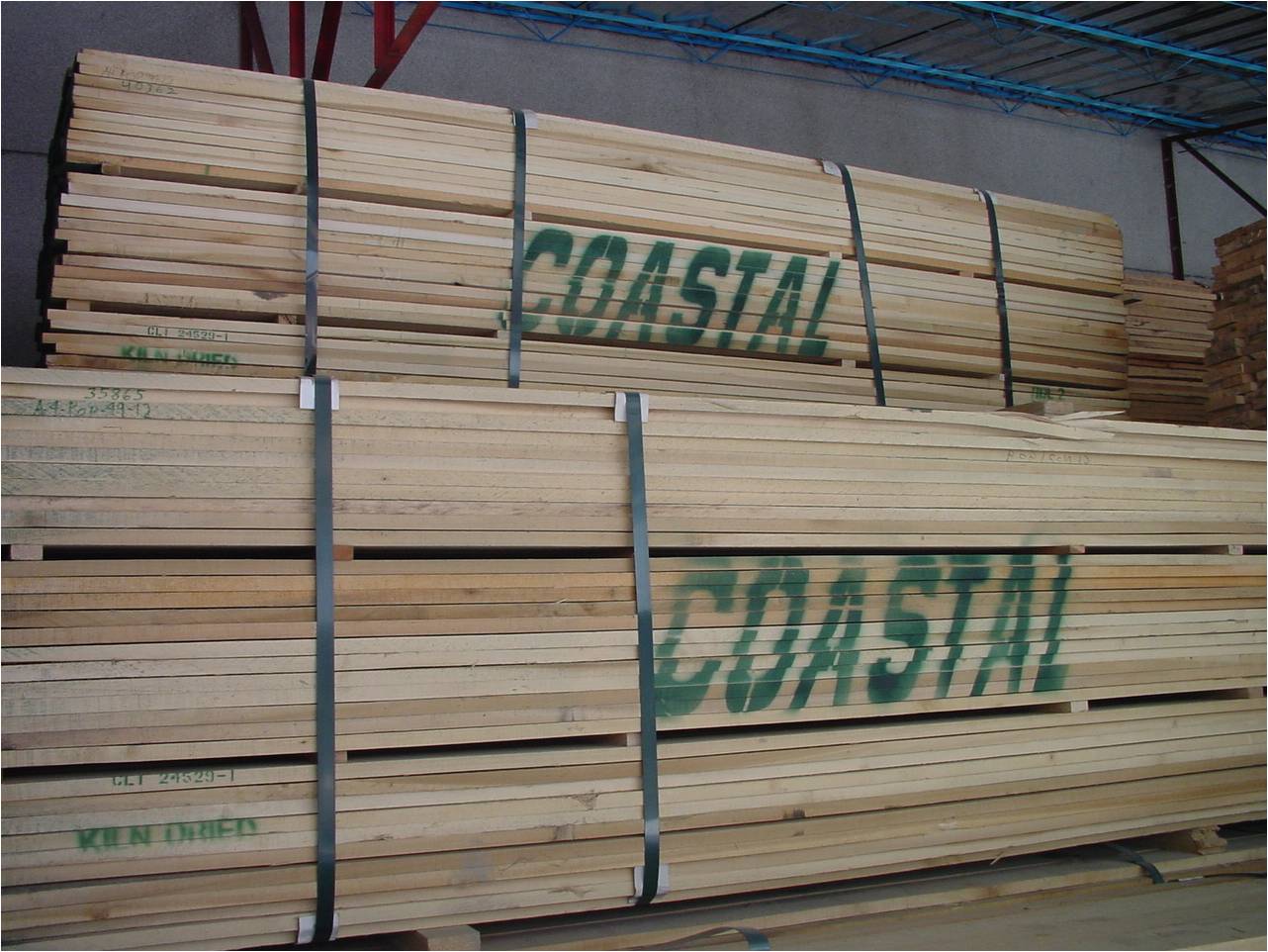 POPLAR LUMBER��Ԕ����B