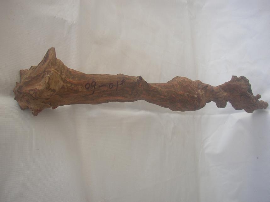 �����S����09-1̖(h��o)