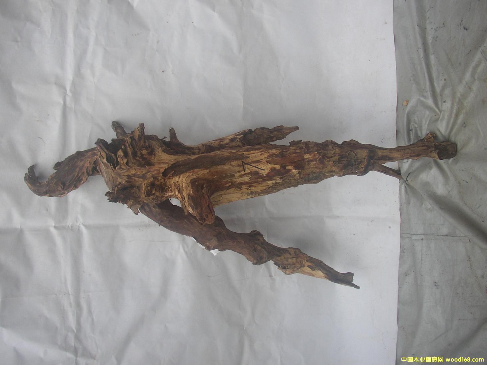 �����S����07#