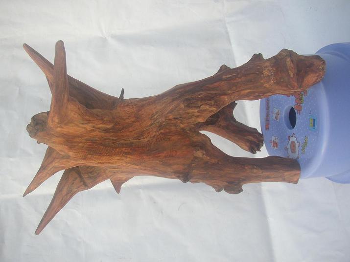 �����S�������_��