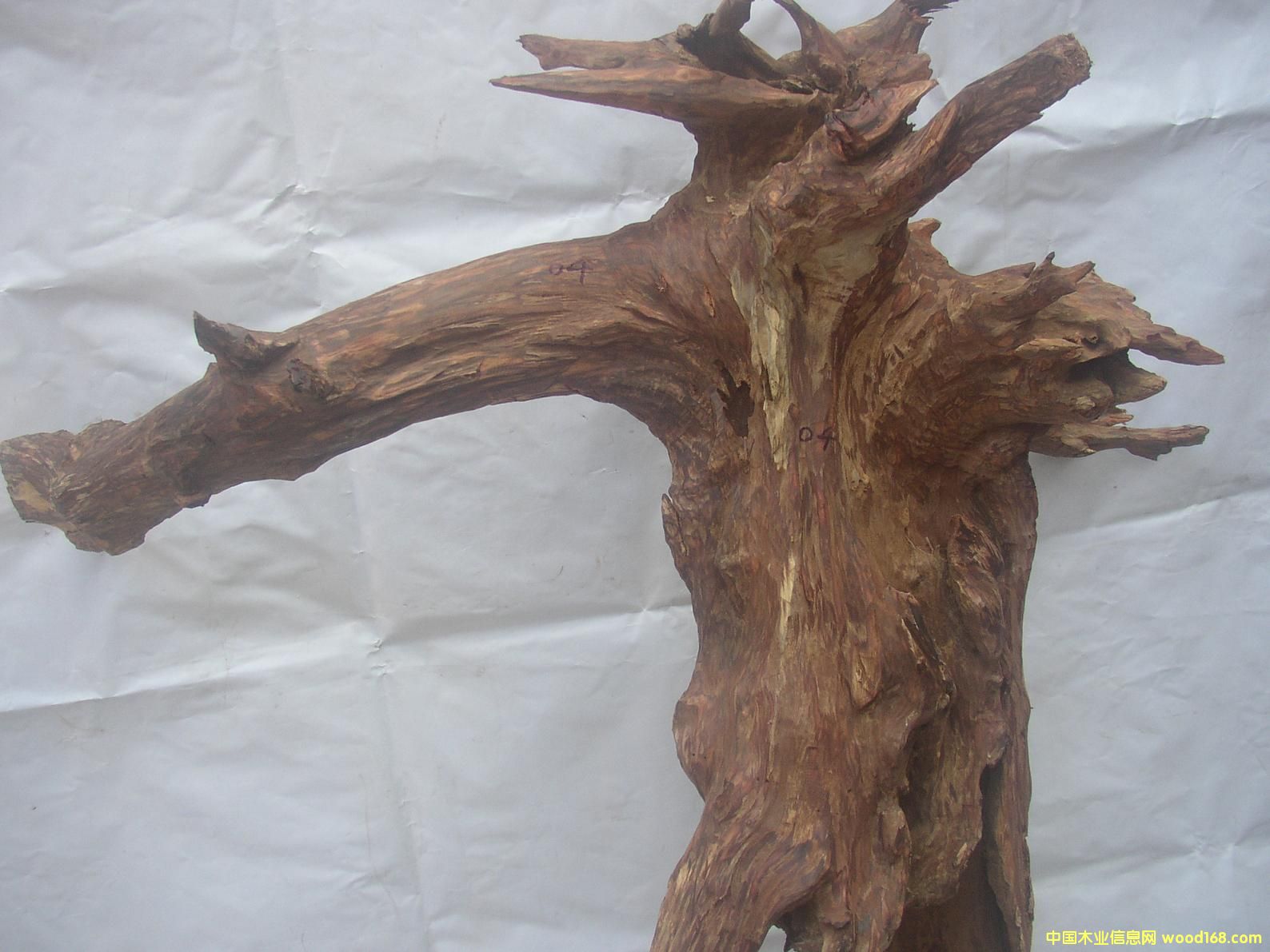 �����S����04#