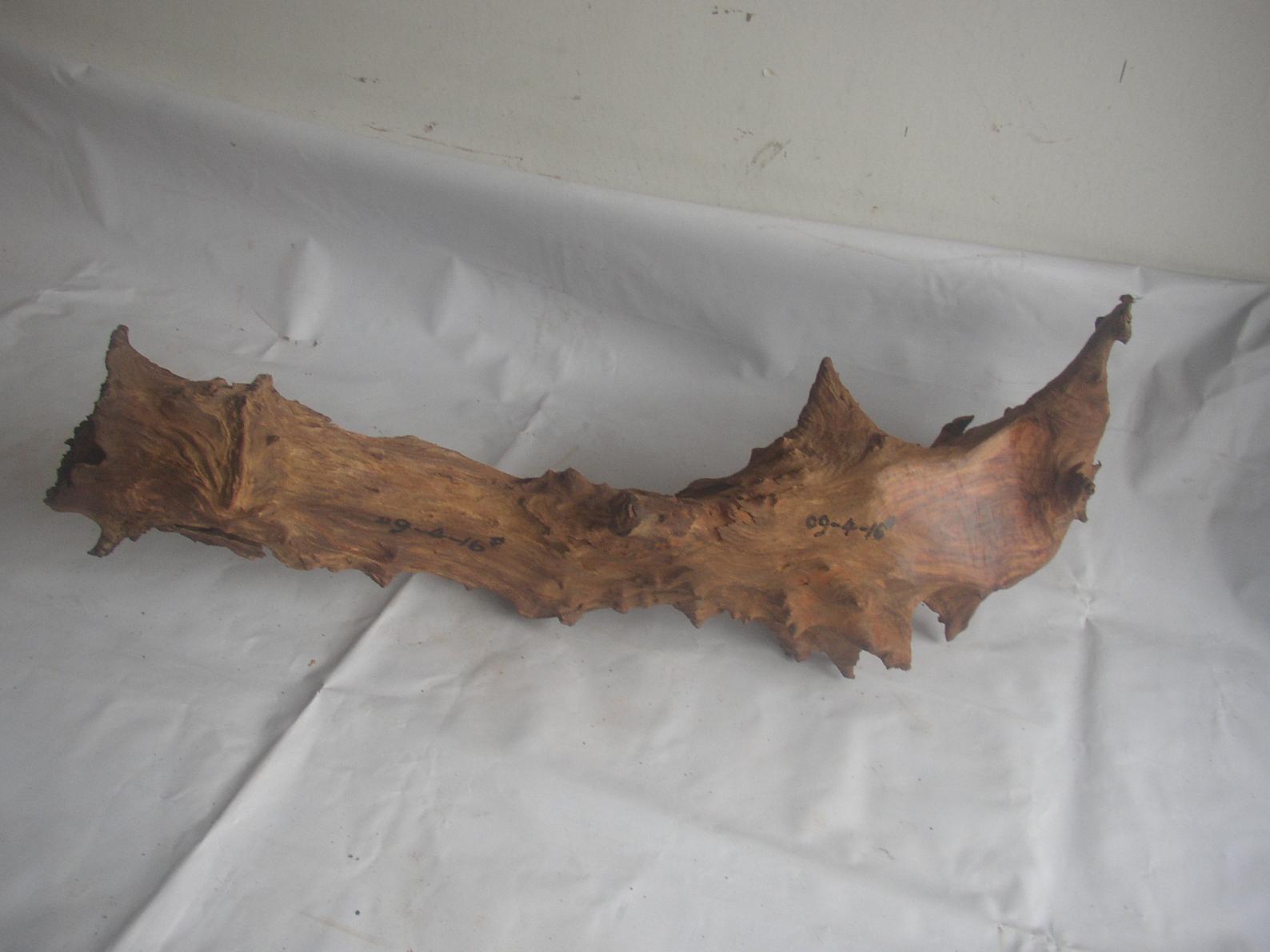 �����S����09-4-16#