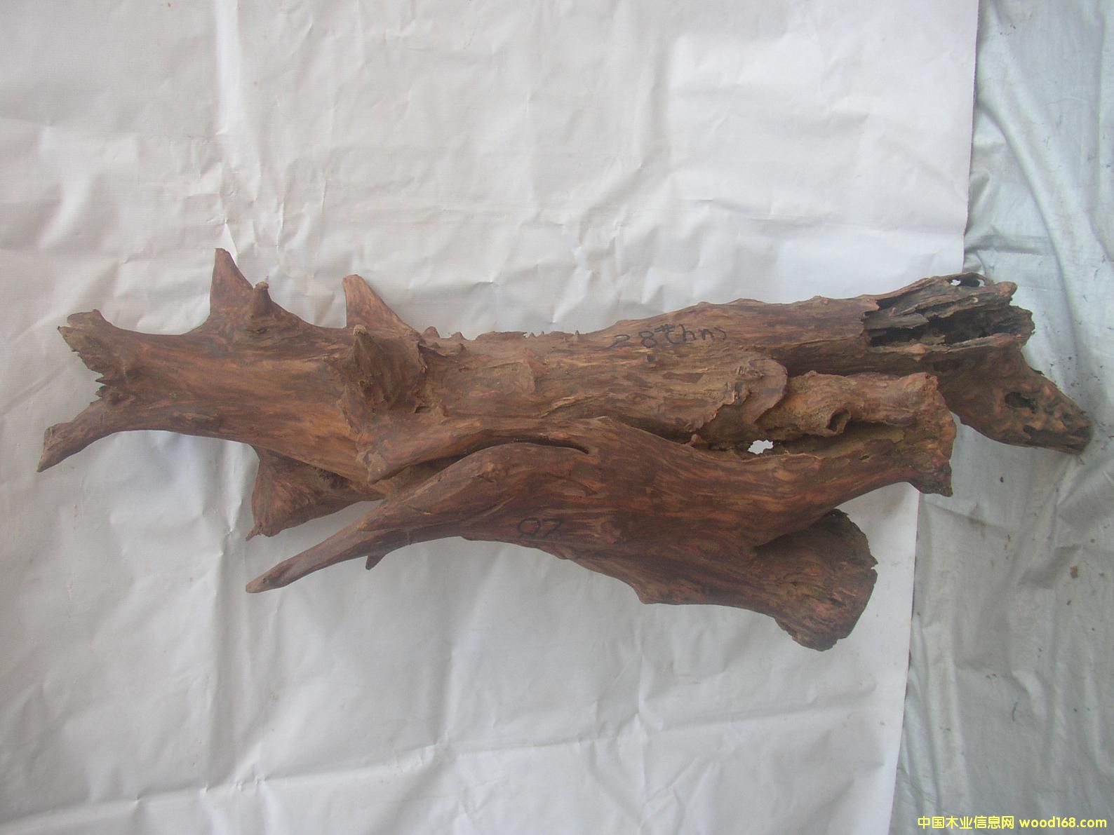 �����S����28#