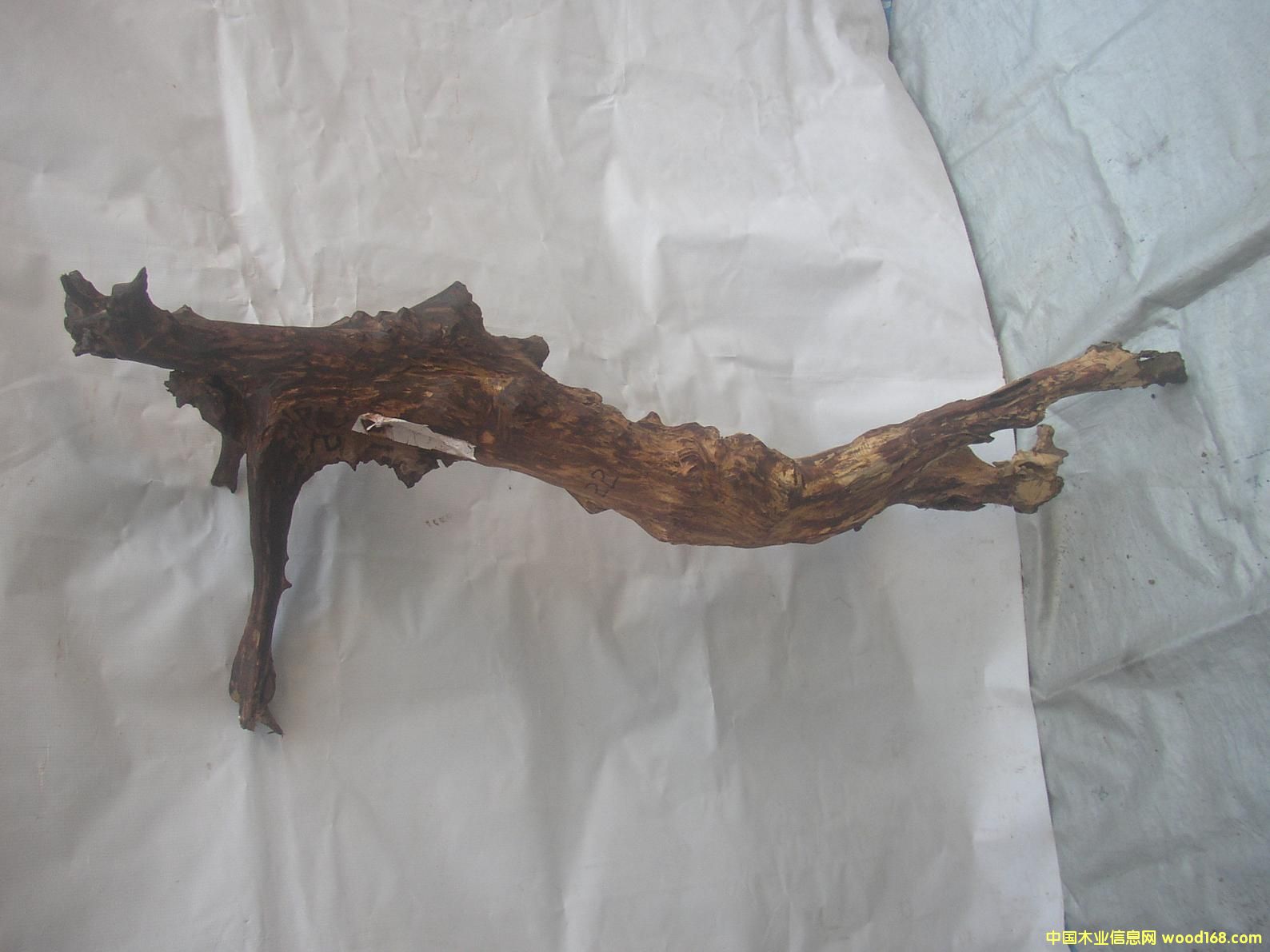 �����S����22#