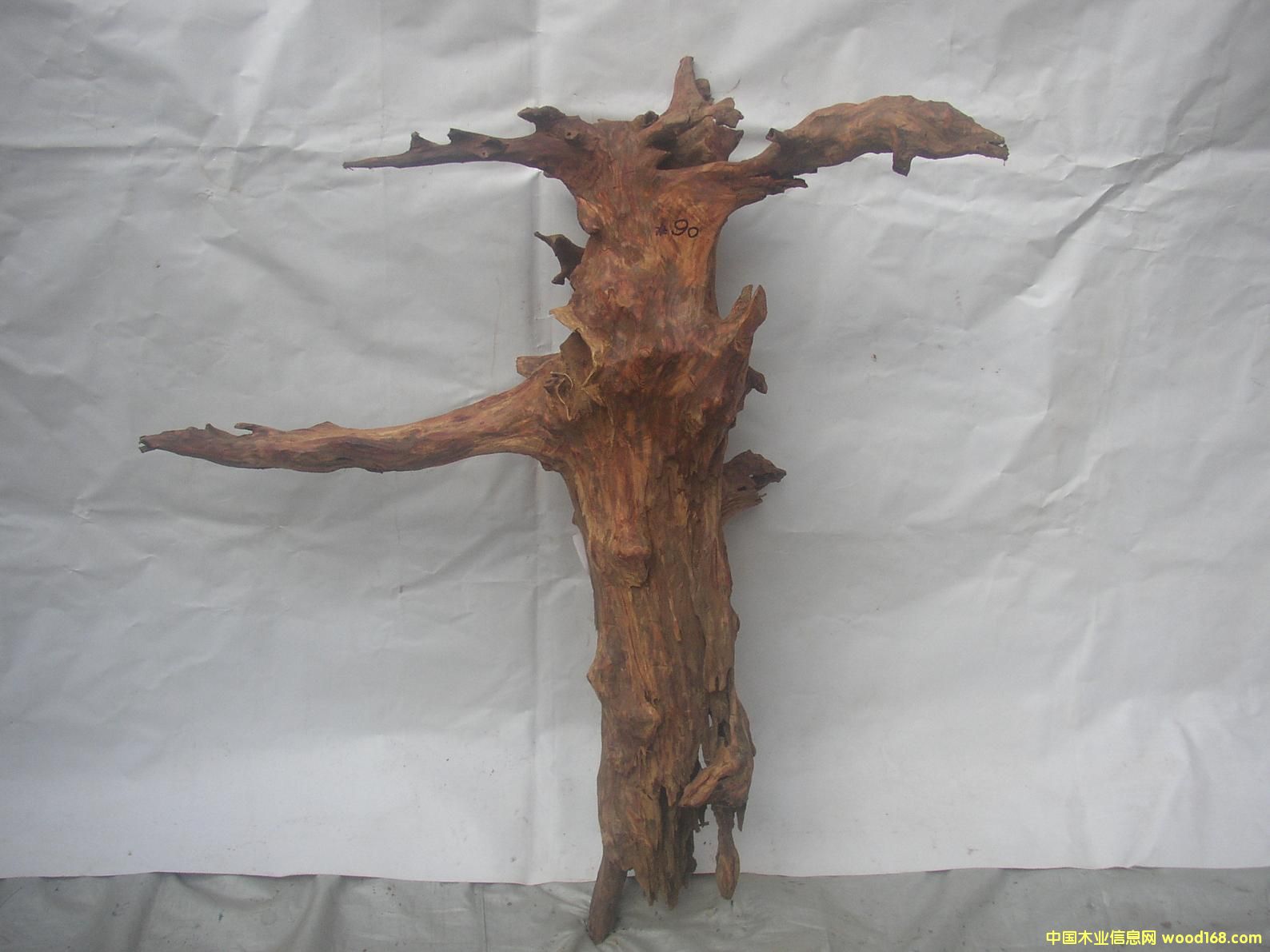 �����S����06#