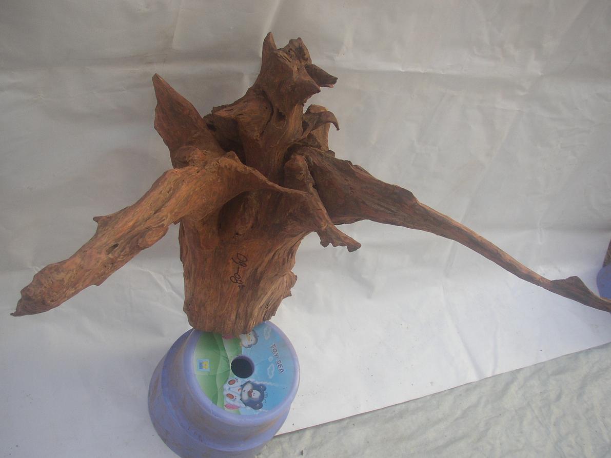 �����S����09-8̖(h��o)