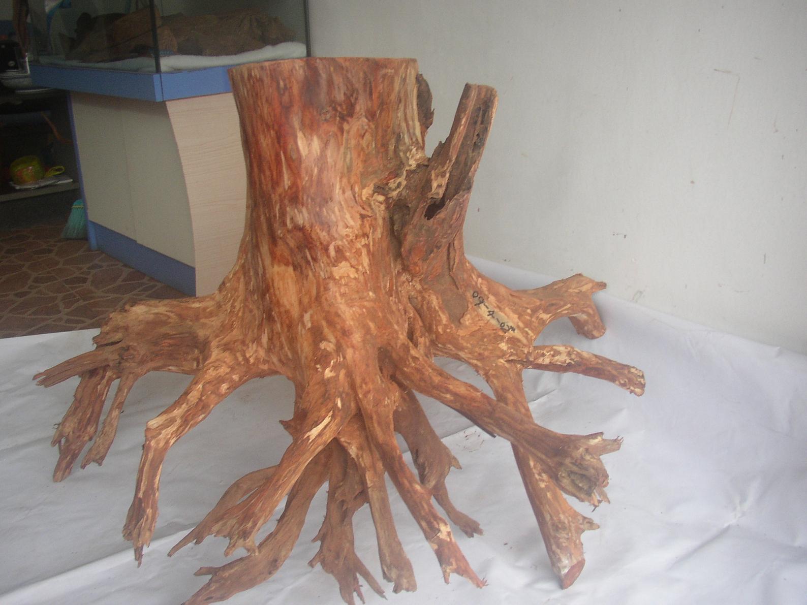 �����S����09-4-2#