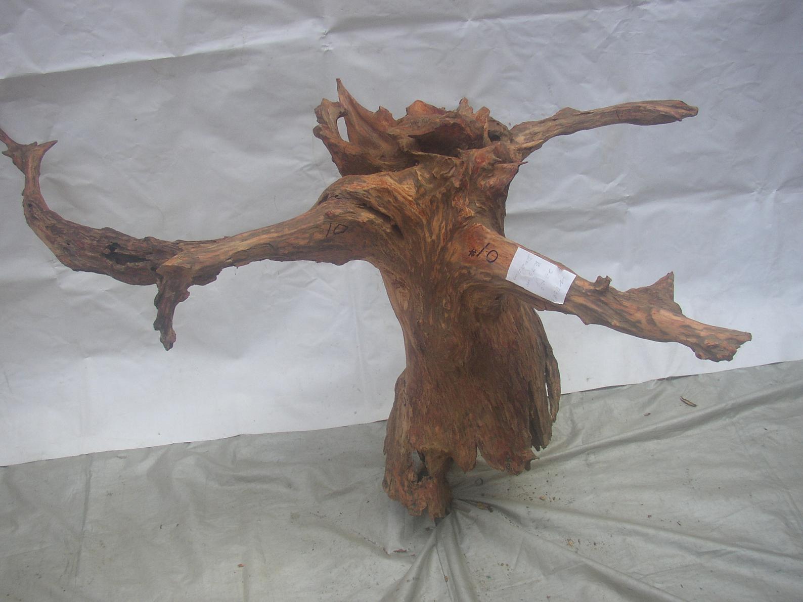 �����S����