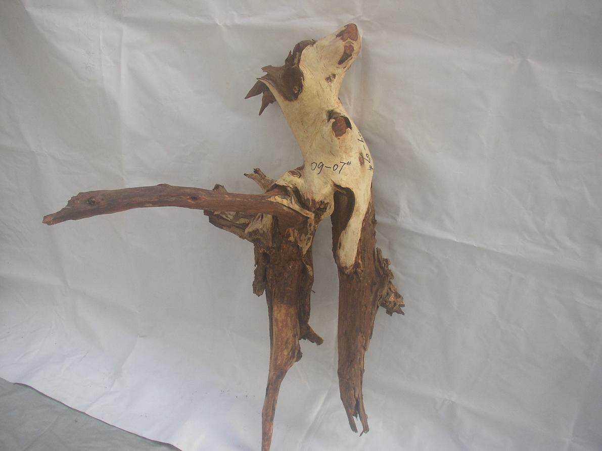 �����S����09-4-17#