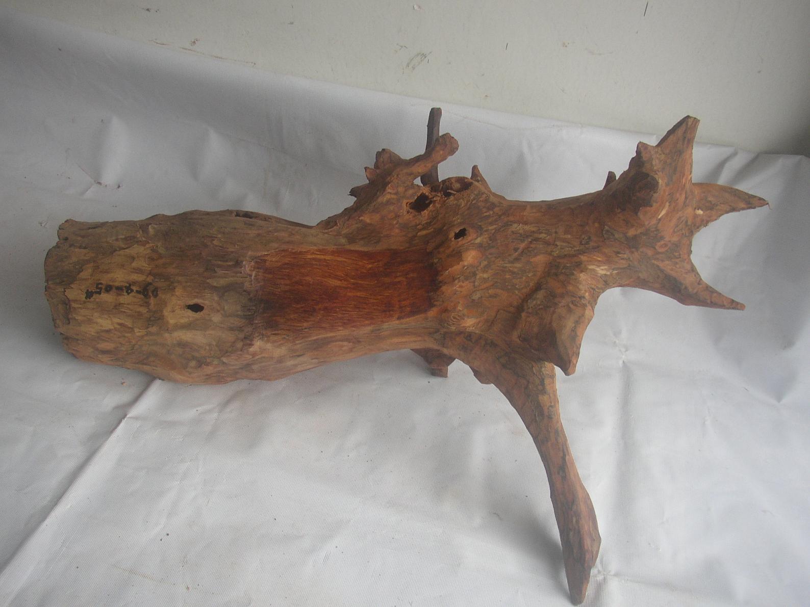 �����S����09-4-5#