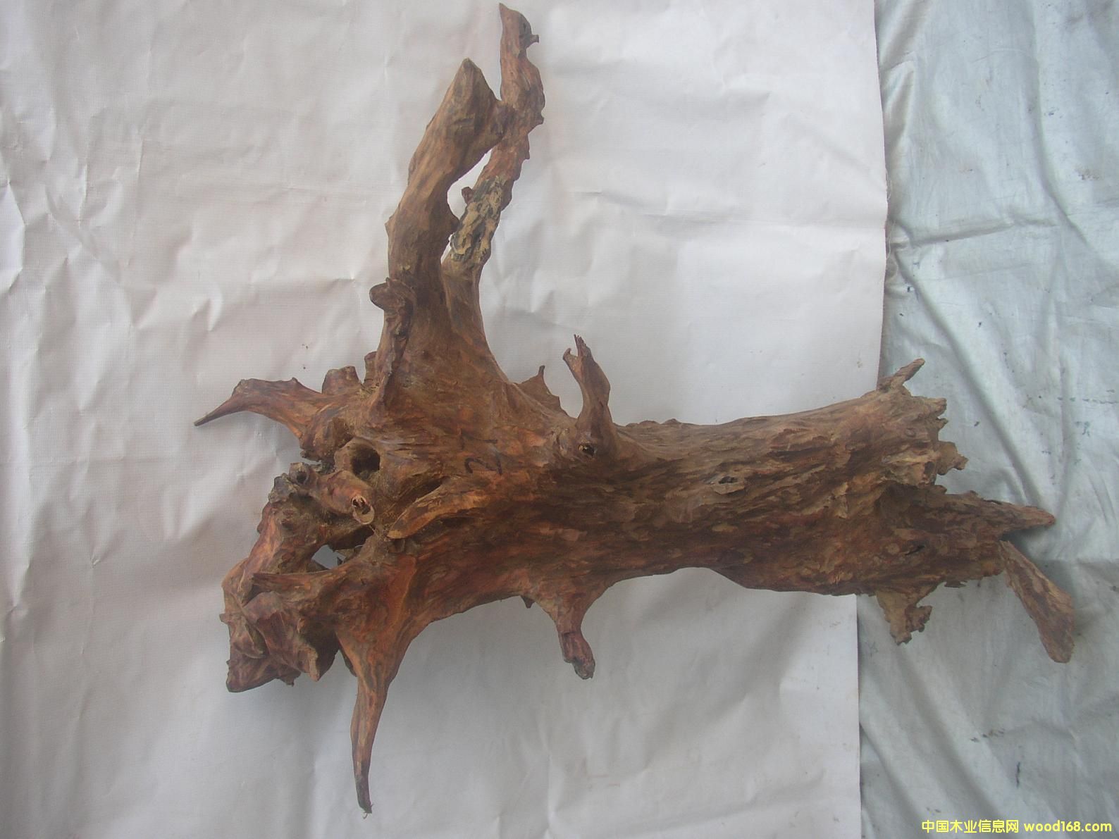 �����S����27#