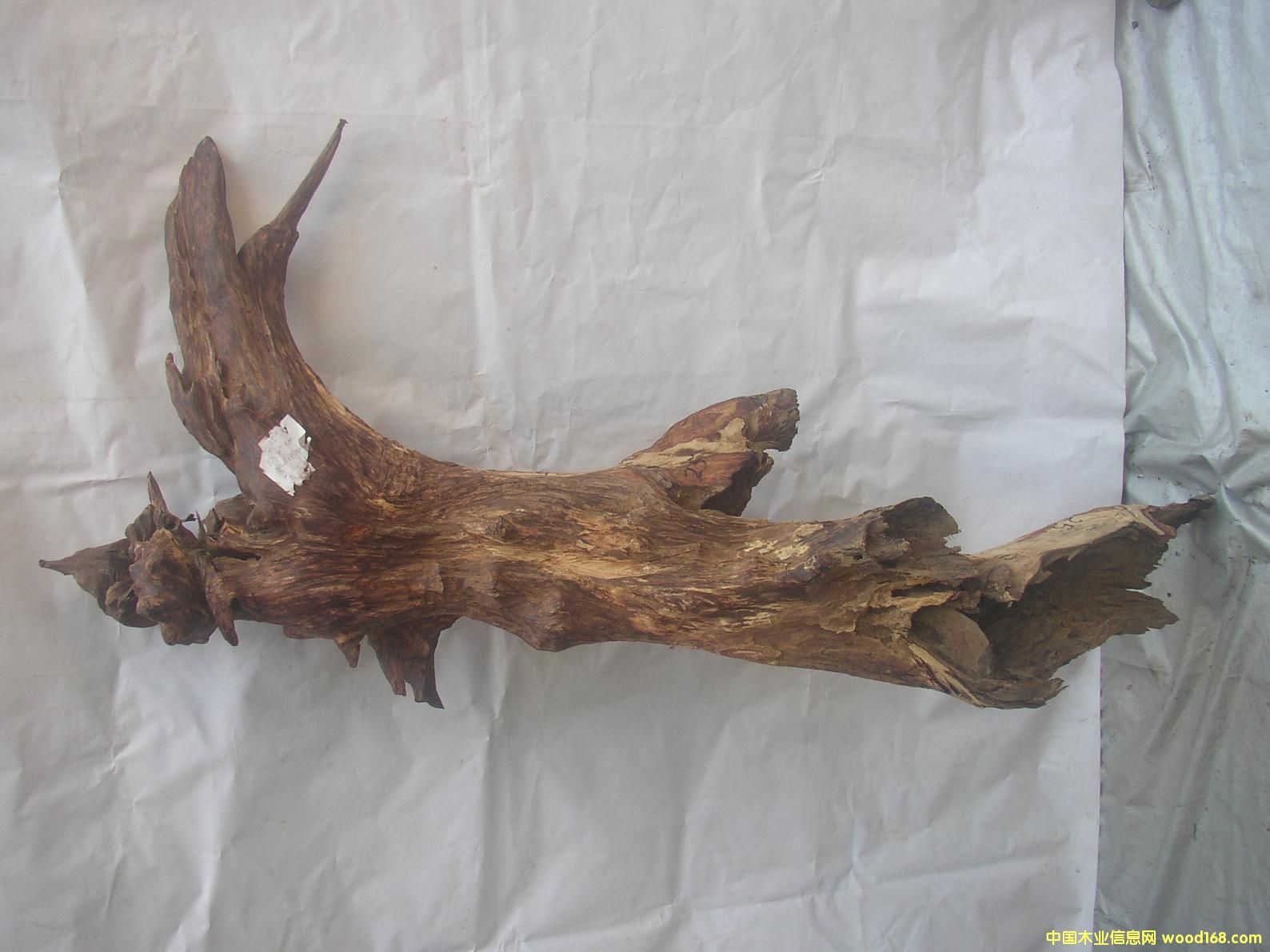 �����S����25#