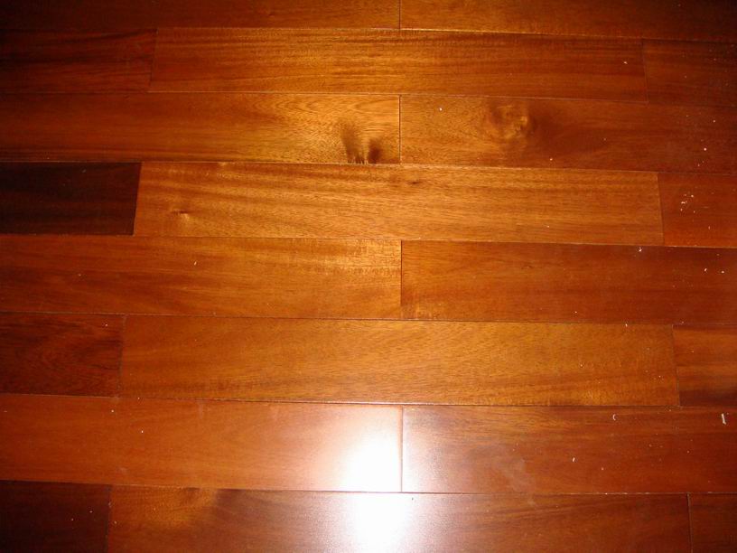 �w�����(ch��ng),���_(t��i)�غ�(sh��)ľ�ذ��Ԕ��(x��)��B