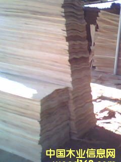 ���һ���ΰ��Ԕ����B