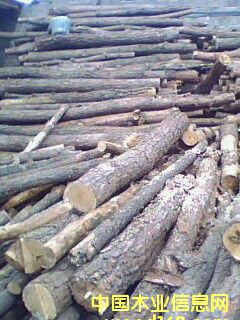 ��ľ��Ԕ��(x��)��B