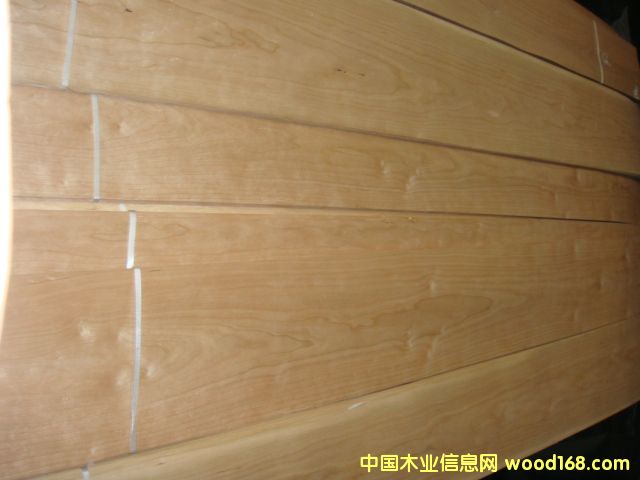 ������ȻľƤ��Ԕ��(x��)��B