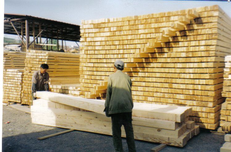 ����ľ����������ľë�ϵ�Ԕ��(x��)��B