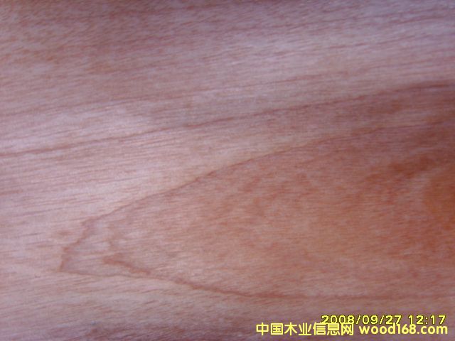 ľƤ��Ԕ��(x��)��B