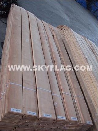 ������N0.6����ֱ�y     �{(l��n)�����