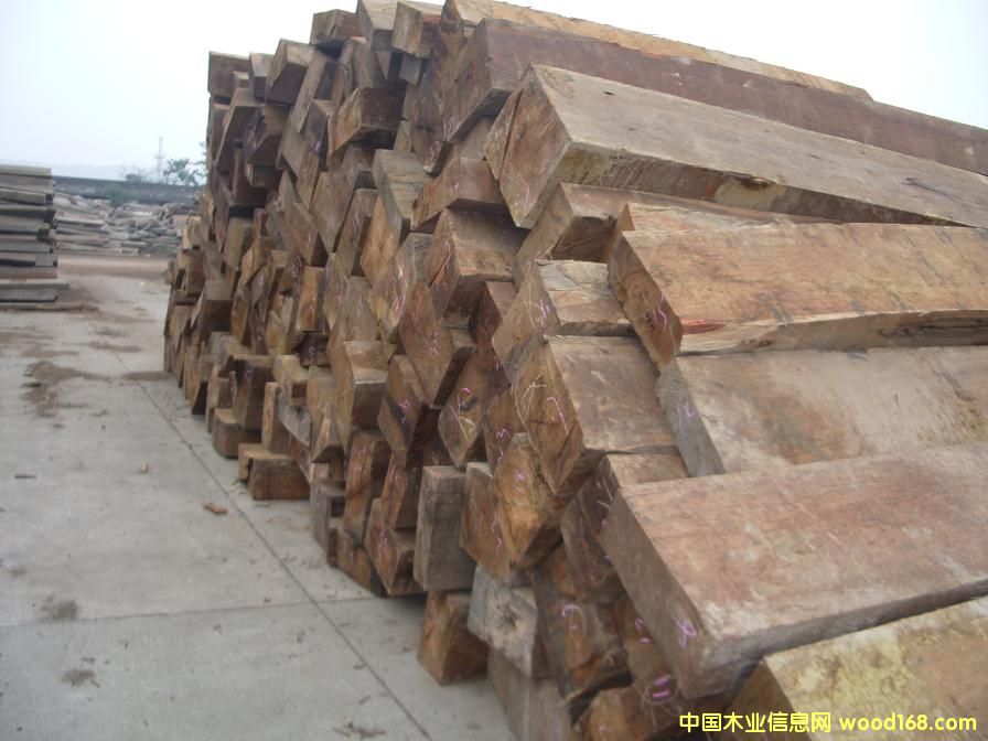 ���黨��ľ��Ԕ��(x��)��B