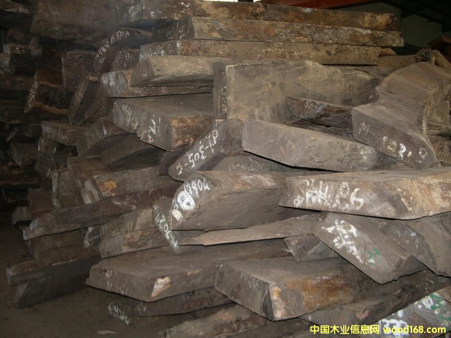 Ƥ�ҵ�Ԕ��(x��)��B