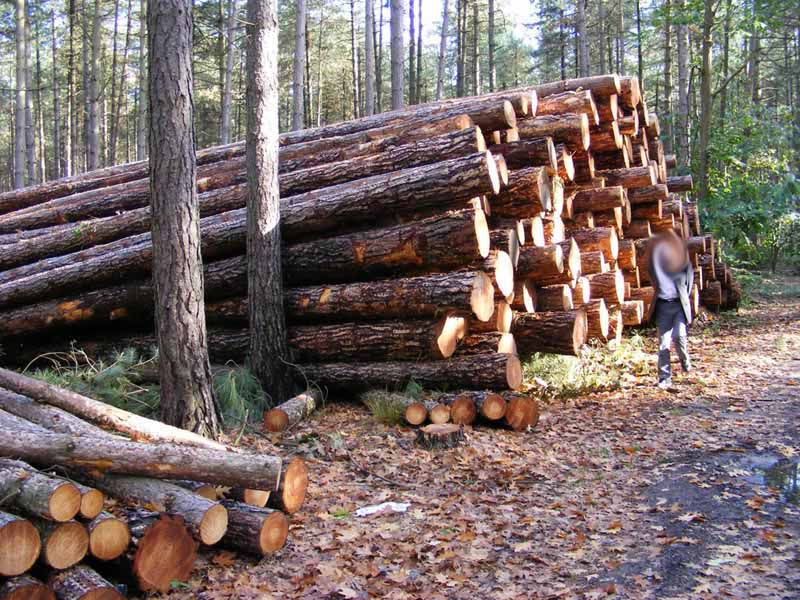 ������ԭľ��Ԕ��(x��)��B