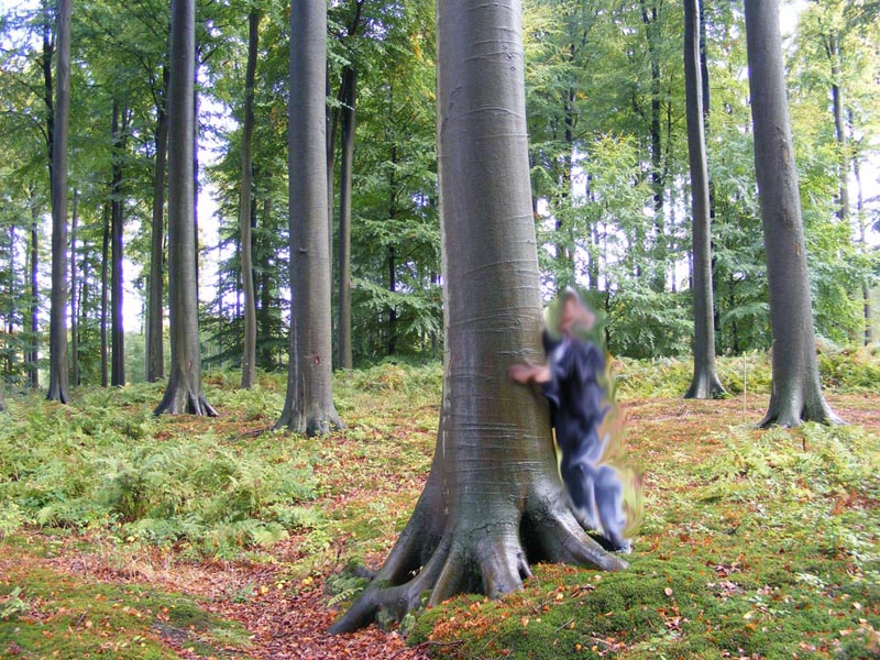 ��ľ����ԭľ��Ԕ��(x��)��B