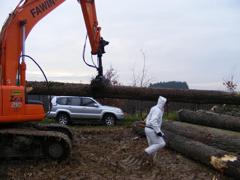 �ڗ�����ԭľ��Ԕ��(x��)��B