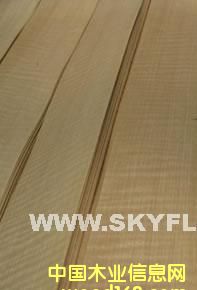 �tӰ��Ԕ��(x��)��B