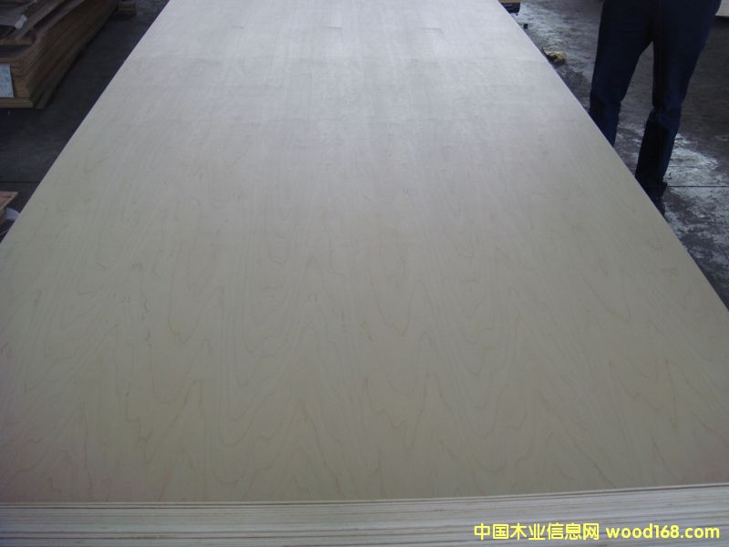 ��ľ��Ԕ��(x��)��B