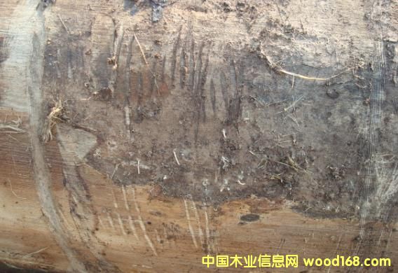 �����Ԕ��(x��)��B