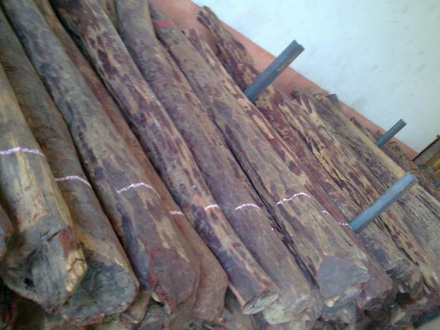 �ؼ�(j��)С�~��̴��Ԕ��(x��)��B