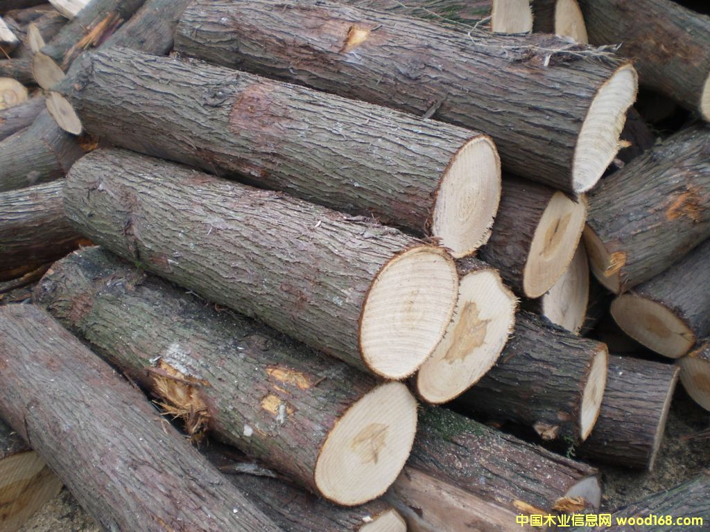 ��(chu��ng)�I(y��)��ľ��Ԕ��(x��)��B