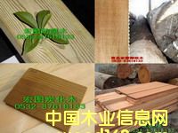 ɽ�|����ľ������ľ�����}���Ԕ��(x��)��B