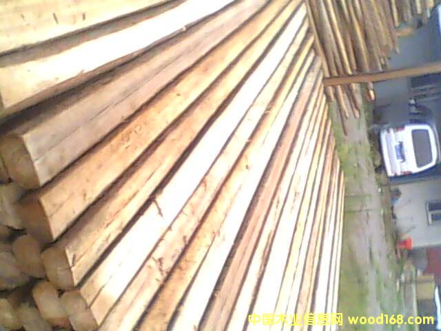 �����ɼľ��Ԕ����B