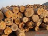 �����������mݗ����ԭľ��Ԕ����B